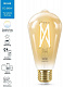 Лампа светодиодная филаментная диммируемая WiZ E27 7W 2700-6500K золото Wi-Fi BLE50WST64E27920-50Amb1PF/6 929003018701 