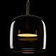 Подвесной светодиодный светильник Loft IT Dauphin 10040A 